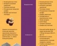 Ротационный пекарский шкаф Abat РПШ-16-2/1М (в комплекте ТШГ-16-01) - 5
