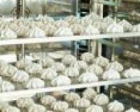 Конвекционная печь Abat КЭП-16П с функцией автоматической мойки (стационарные направляющие) - 4