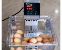 Ротационный кипятильник (термостат) InnoCook Compact - 7