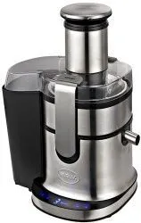 Соковыжималка RGV Industrial Juicer MC4