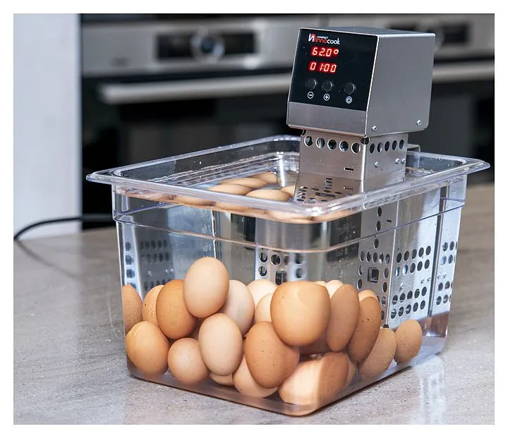 Ротационный кипятильник (термостат) InnoCook Compact